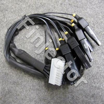 ASNU INJECTOR WIRING HARNESS  (1)