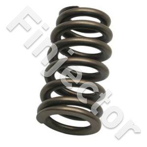 Fuel Pressure Regulator spring (NUKE 300-10-108)