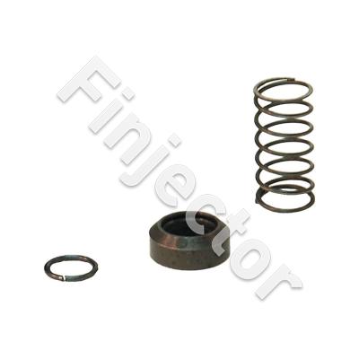 PINION RETURN SPRING KIT (TILTON 54-446)